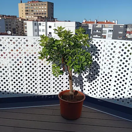 Apartamento El Capricho La Terraza, Gran Terraza Con Vistas Y Parking Incluido *